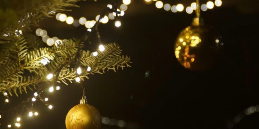 Best Professional Christmas Lighting Installation Near You